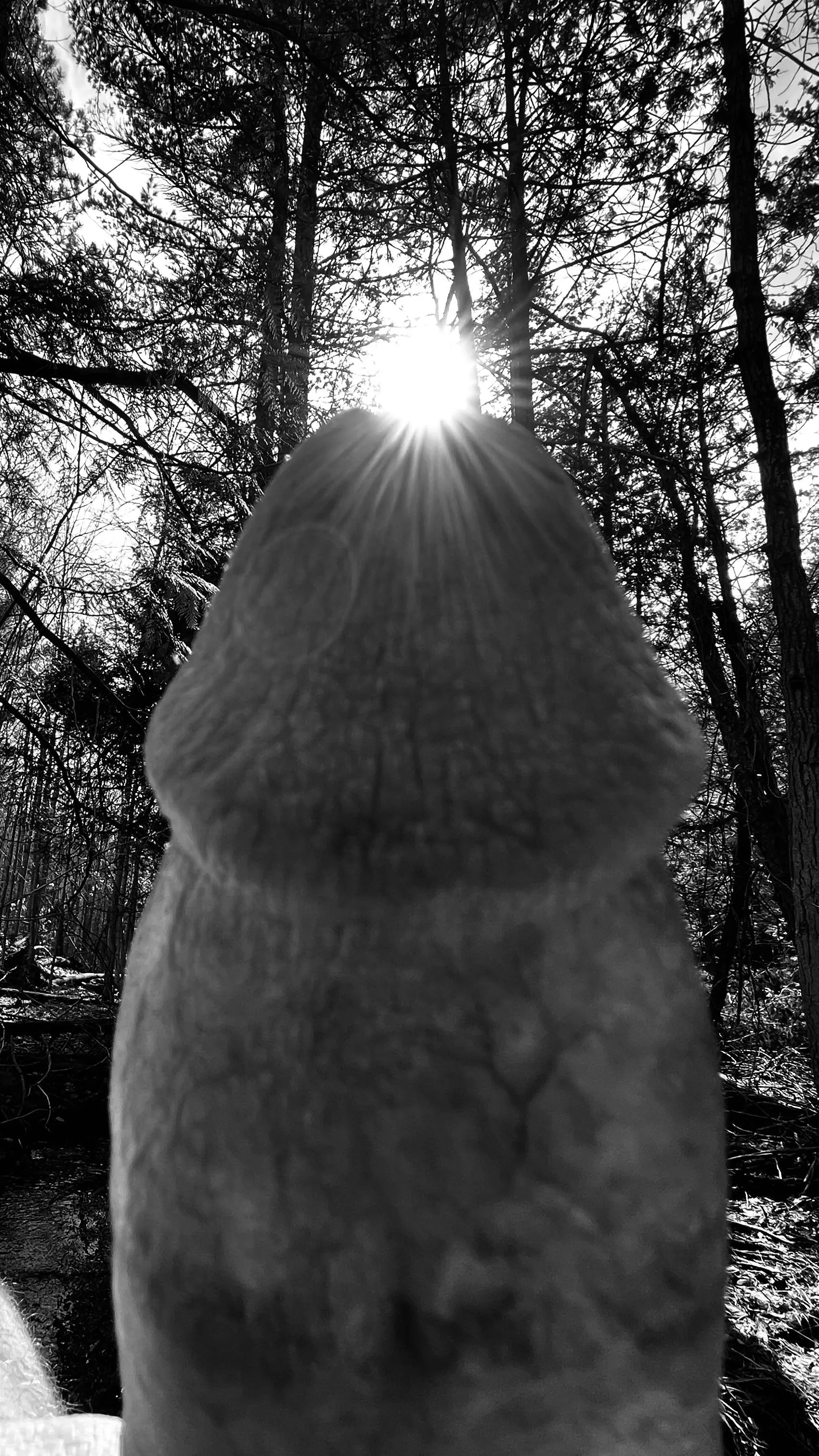 Let the sun shine in…