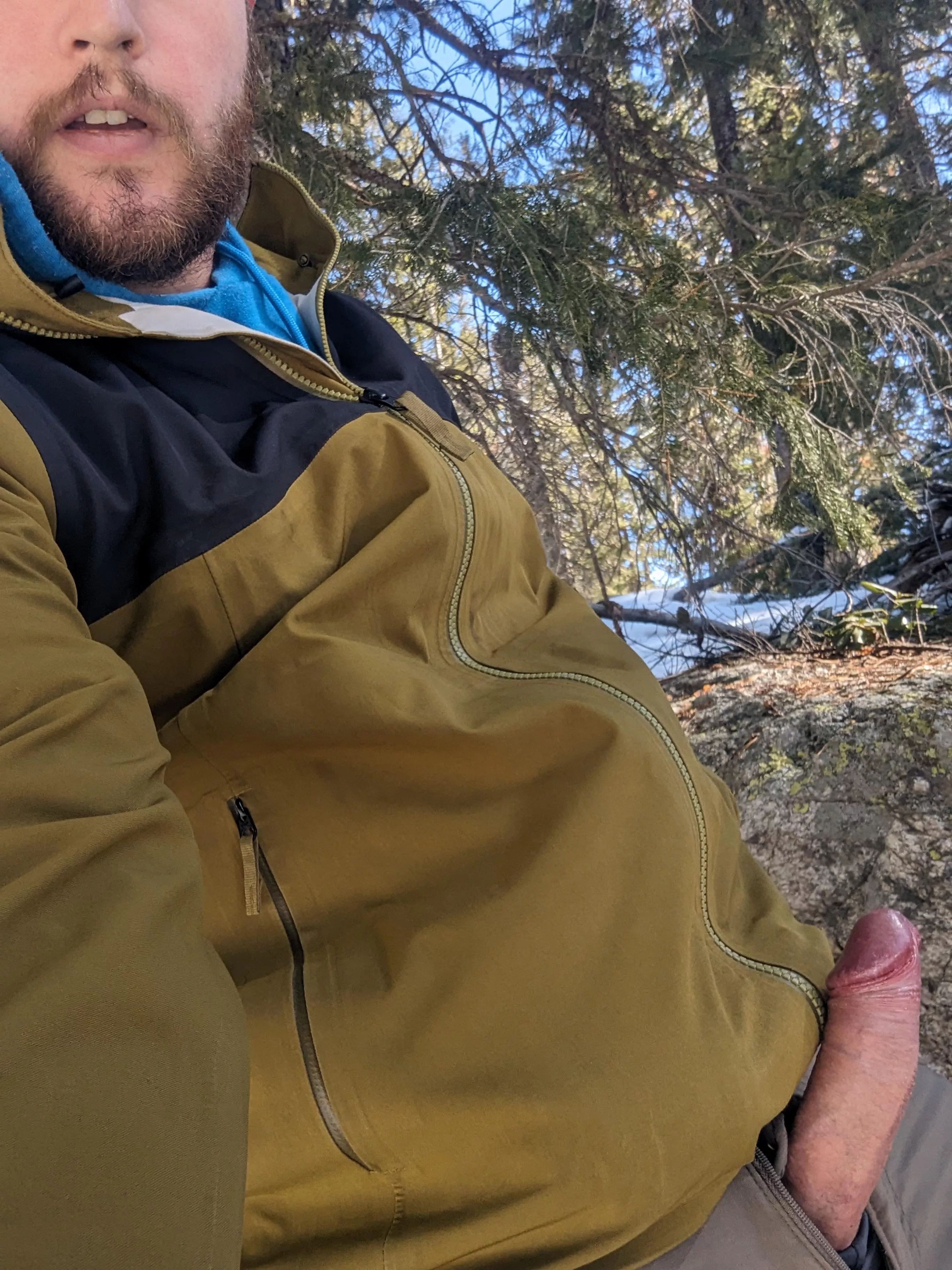 Looking for hiking partners 