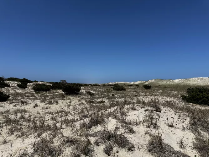 OBX Beach dunes