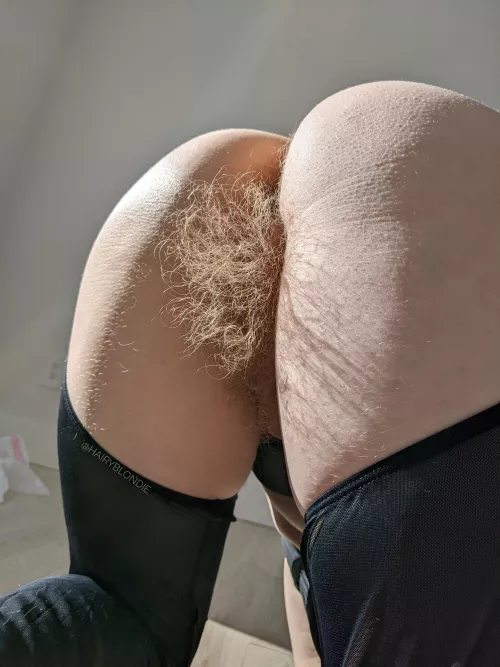 This is what happens when a blonde stops shaving for good