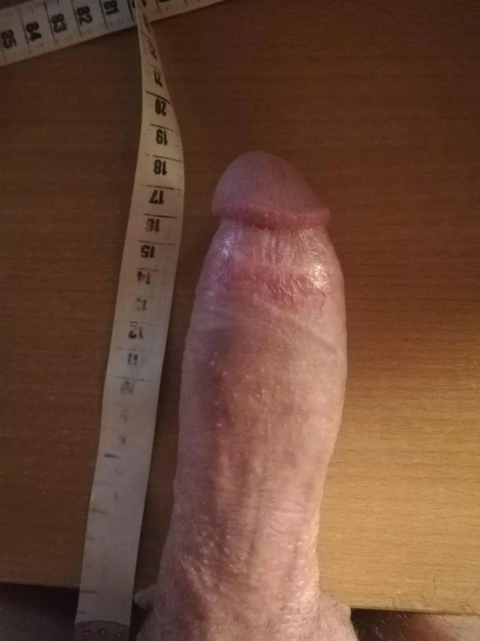 25M Europe Slovenia BWC bull looking for action