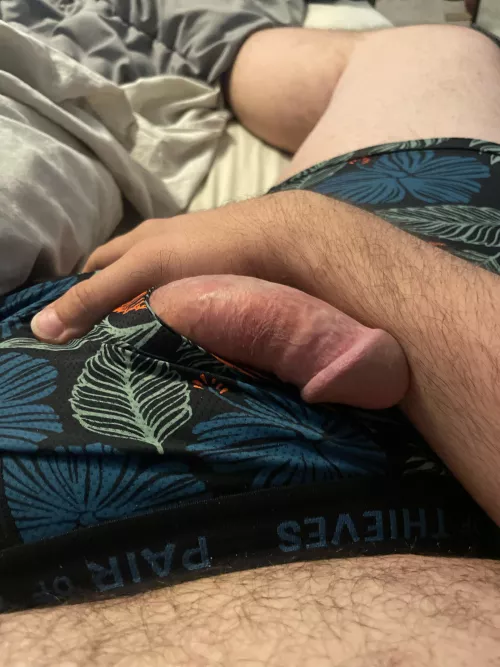 [33] bi, lonely dad. Looking for a bro/regular bud to help me out. DMs open or telegram @defyeveryone