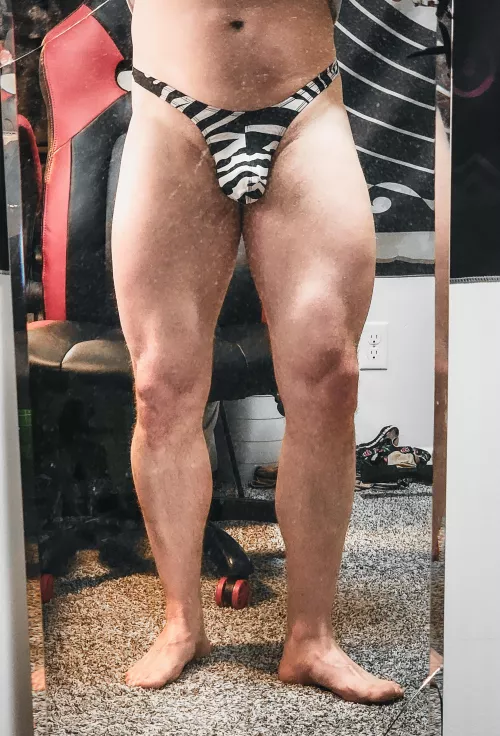 Anyone else like zebra print??