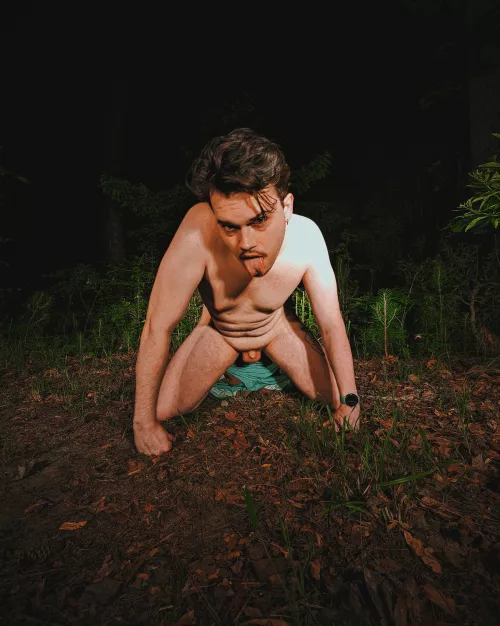 cub gone wild in the wild 🐻