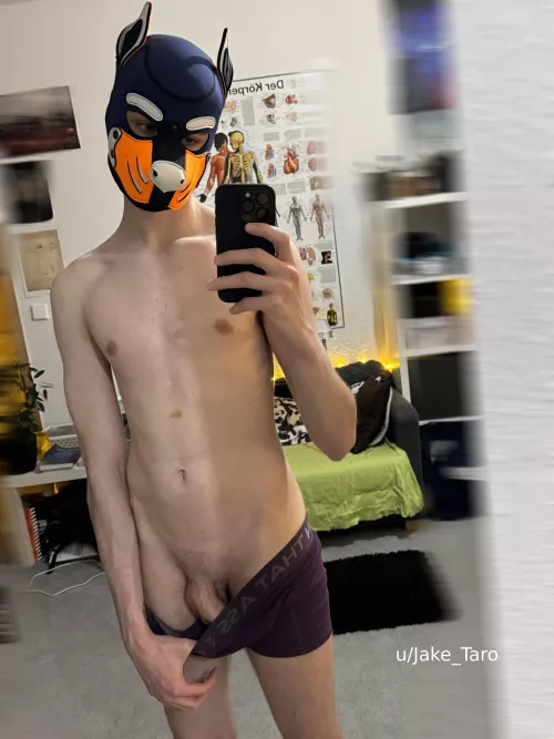 how big do you think it is?