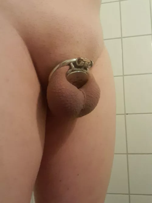 I can feel how my penis gets smaller every day inside this small cage.