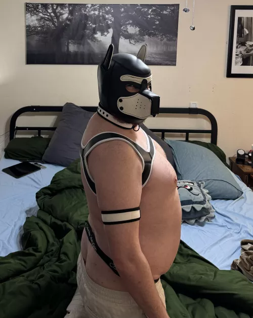 I’m turning 37 tomorrow! Say something nice :)