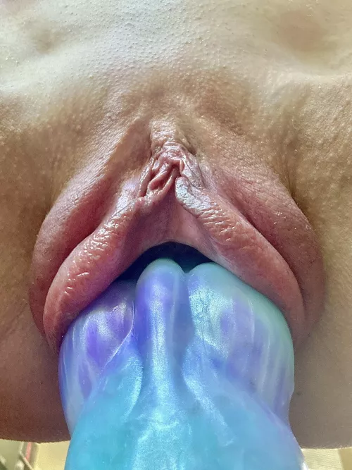 One very [f]risky pussy, fat and full…