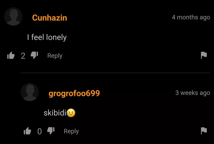 Skibidi 😥