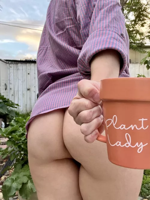 Do you have seeds for my garden?