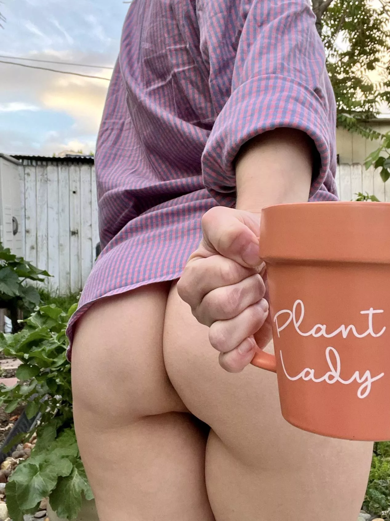 Do you have seeds for my garden?