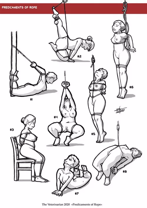 Eight Predicament Ties Illustrated