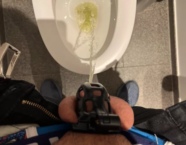 Have you seen a caged pup pee standing?