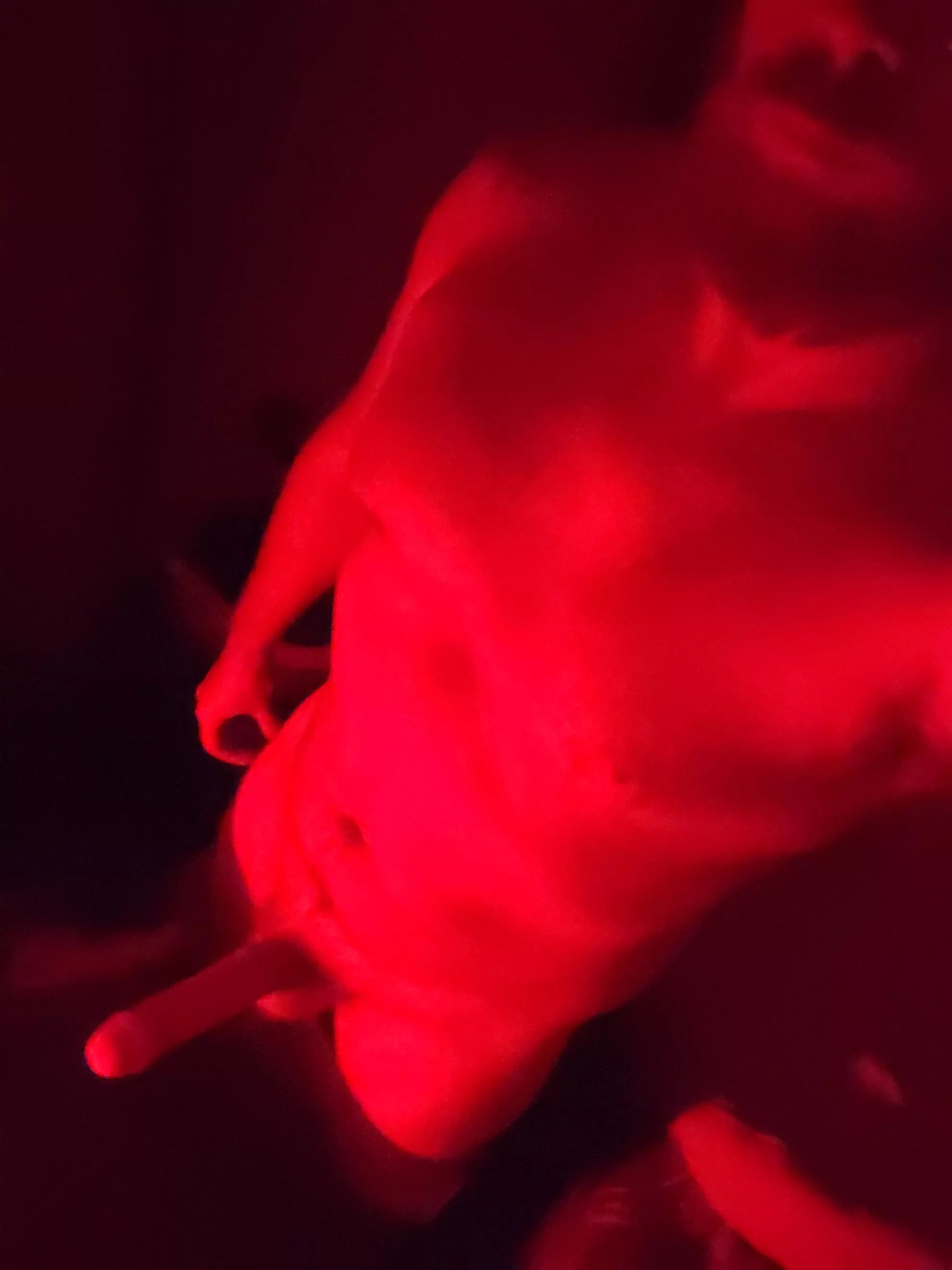 Hump day is always the best