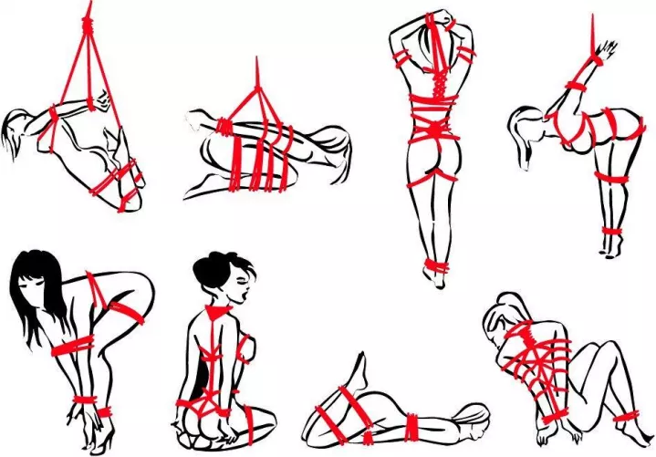 I need a tutorial on how to do these positions as well as know how to tie ropes like that! got any links? 