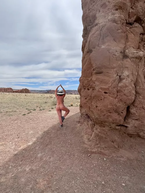 Lone Tree in the Desert 🌿