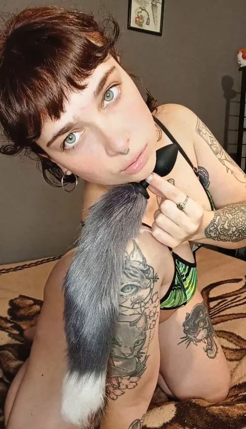 Would you like to be my fox?