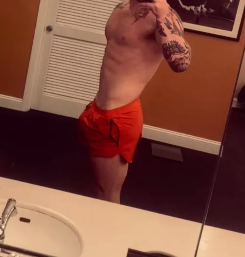 28M Experienced bull for hotwife