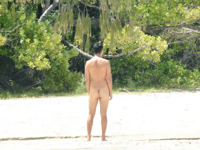 Cape Tribulation, Australia