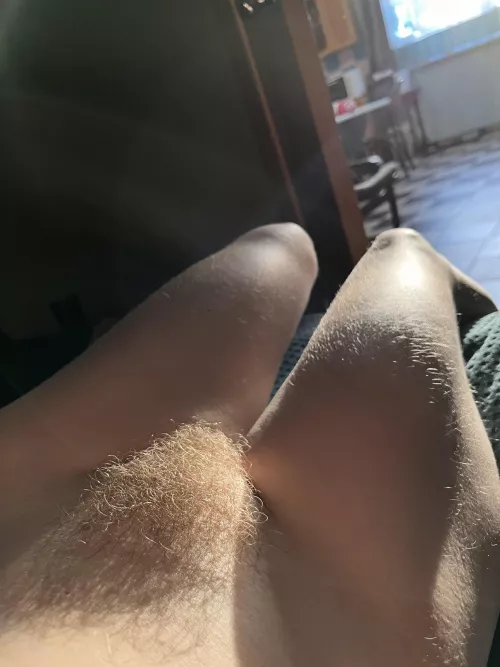 Fluffy kitten waiting for affection 😘