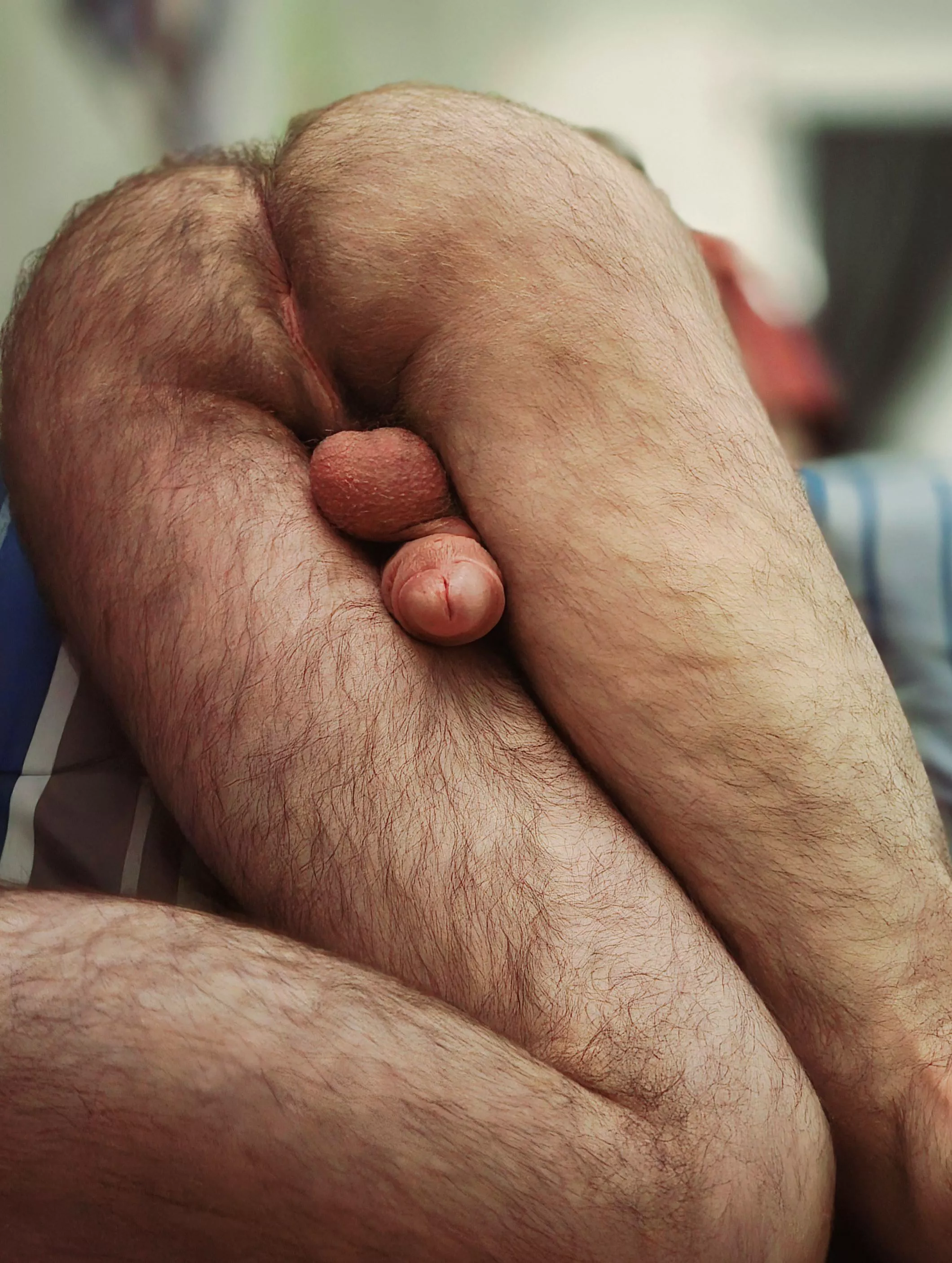 Hairy enough for you?