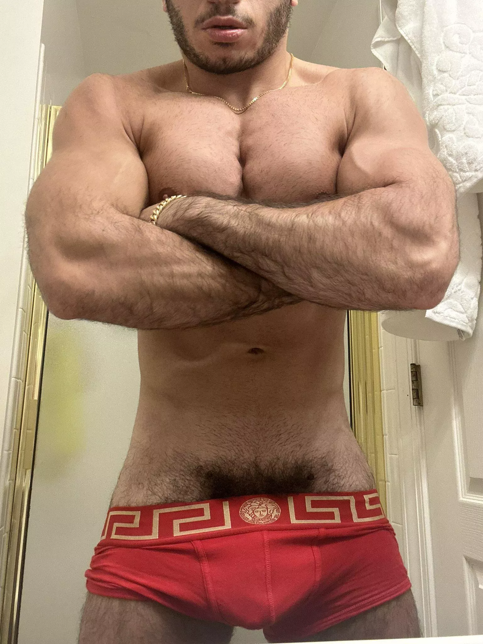 Hairy Persian Stud 