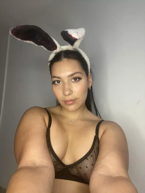 Hello my bunny ❤️