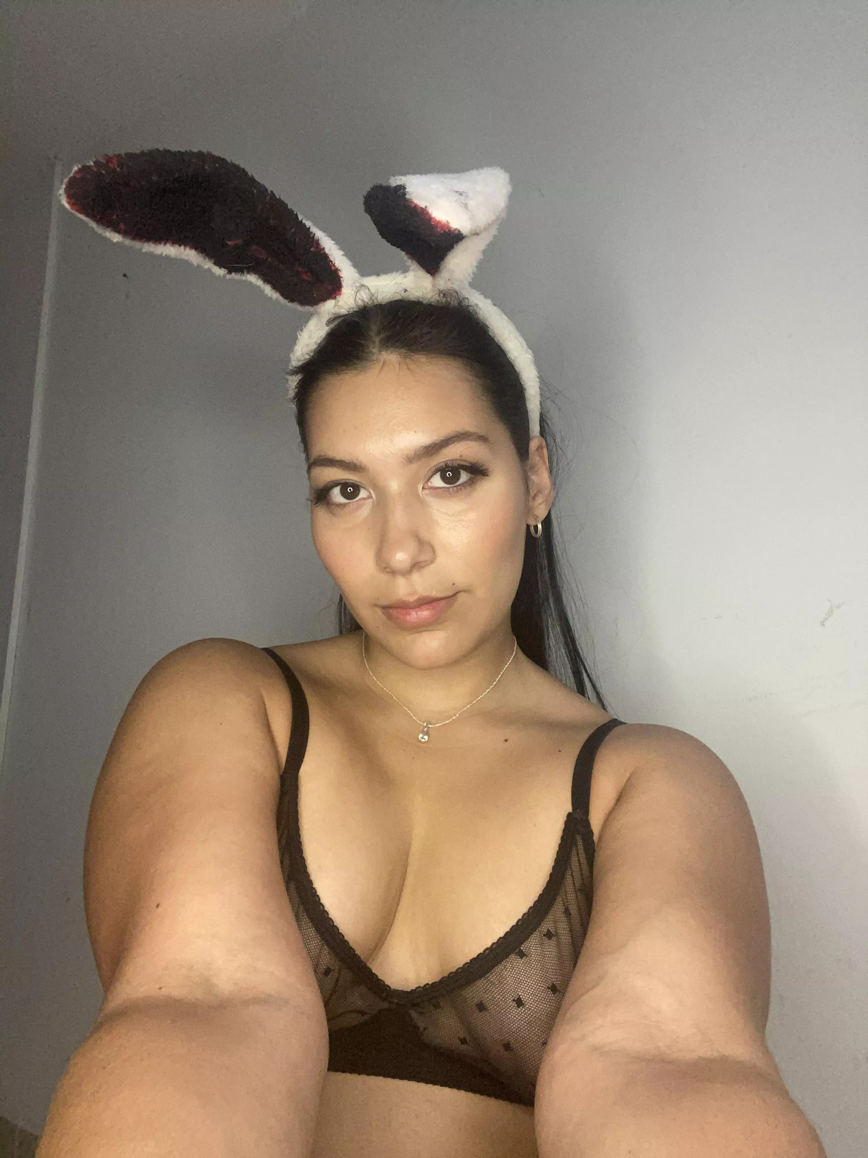 Hello my bunny ❤️