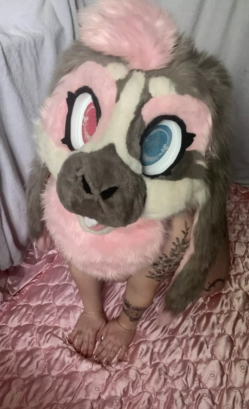 I’m a good bunny aren’t I? 🥺