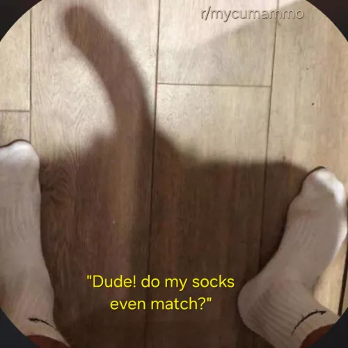 My roommate sent me this...