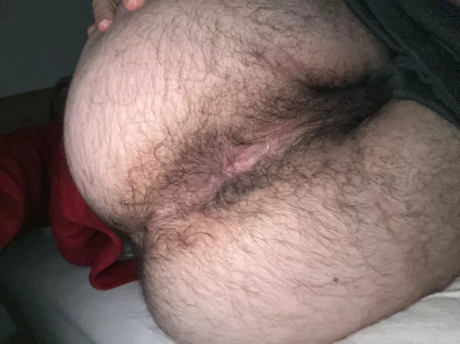 need a hairy face to sit on please :)