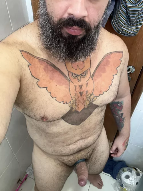 Not an Uber but this could be your ride