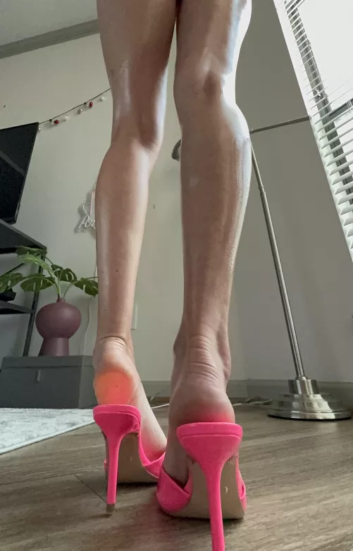 Oops I cropped the top of the image off, oh no … 😜