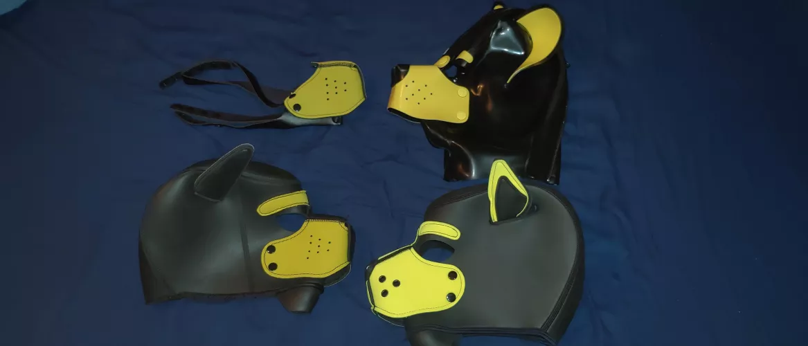 The evolution of my yella pup! From Amazon to full rubber, and my newest addition, Mr. S!