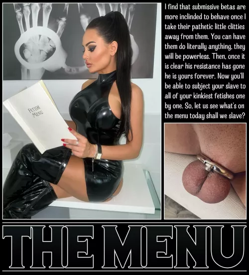 THE MENU [chastity] [femdom] [denial]