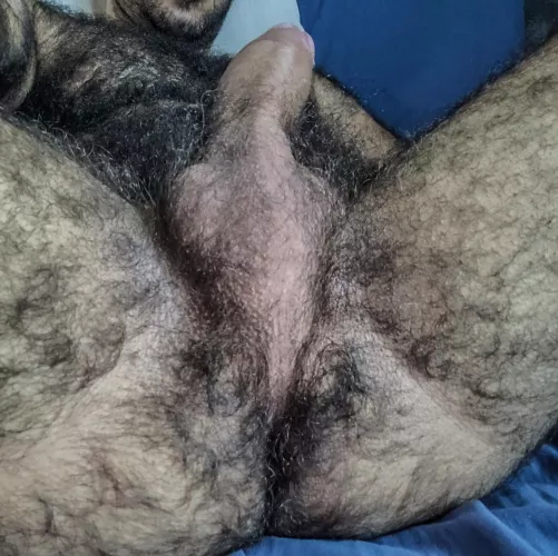 The musky manly scent of male sex pheromones is an aphrodisiac