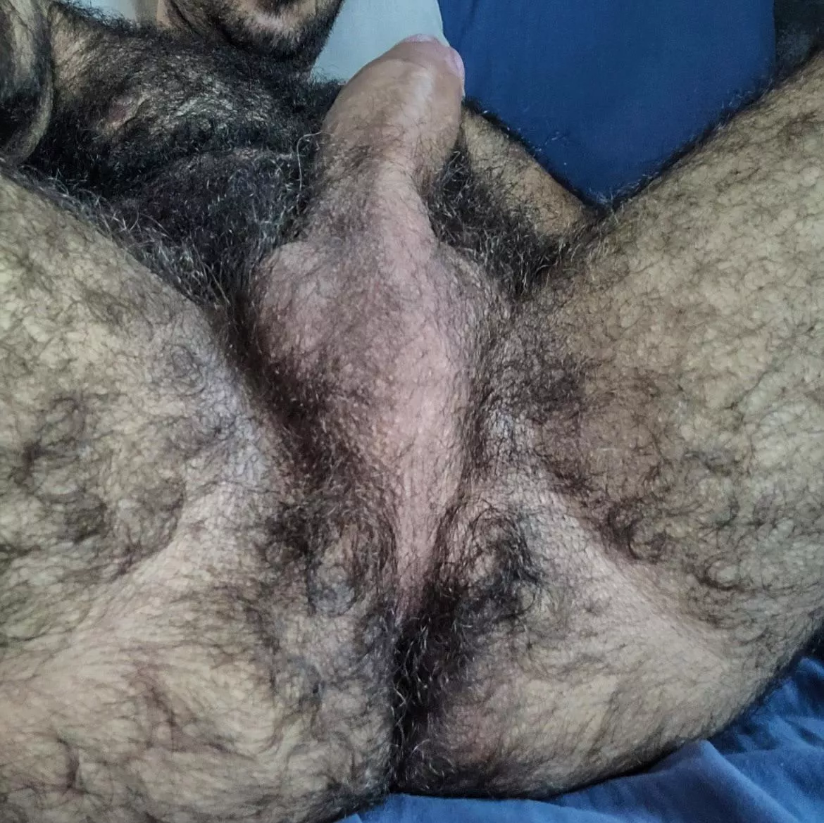 The musky manly scent of male sex pheromones is an aphrodisiac