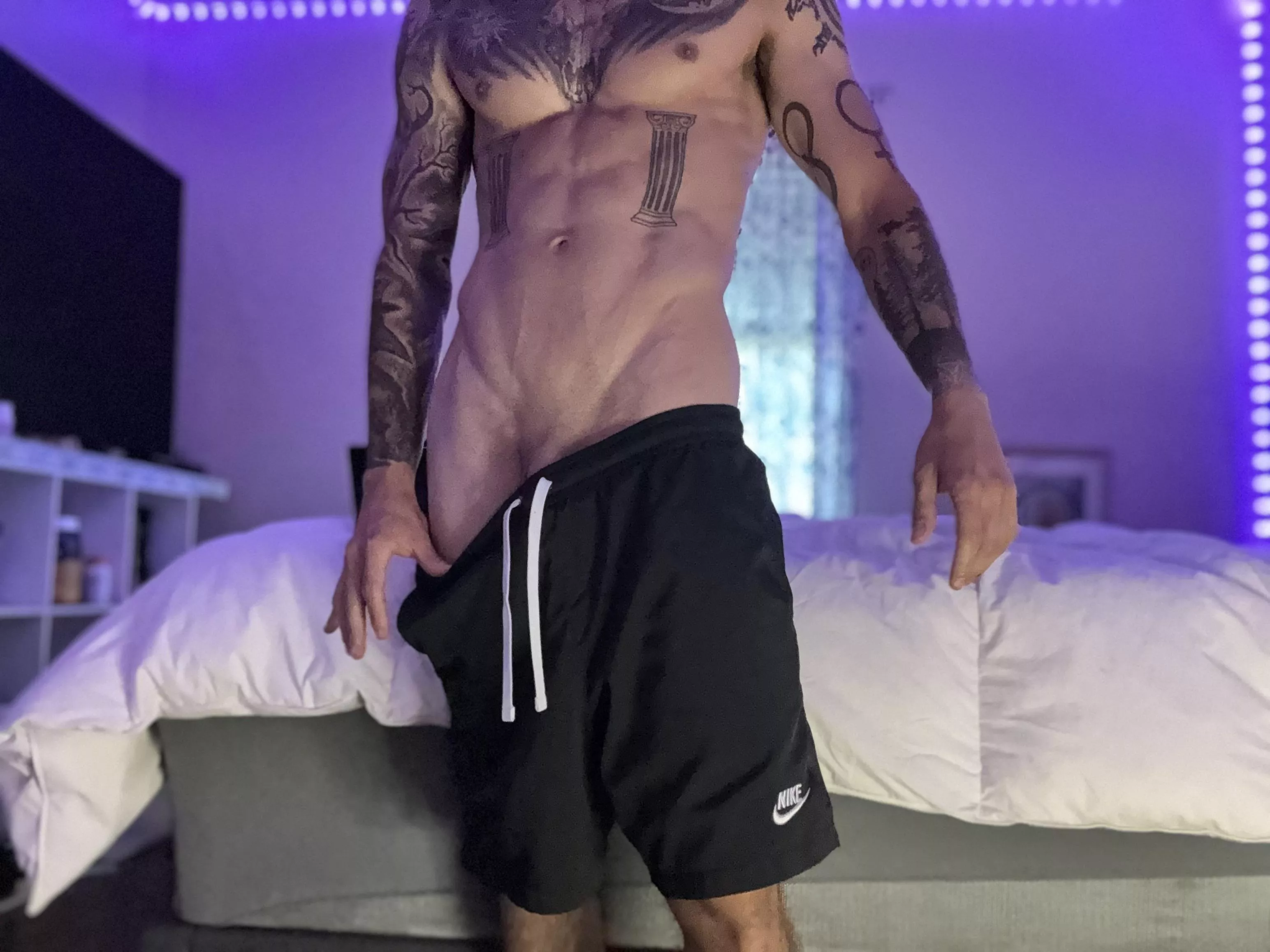 These are a set of…