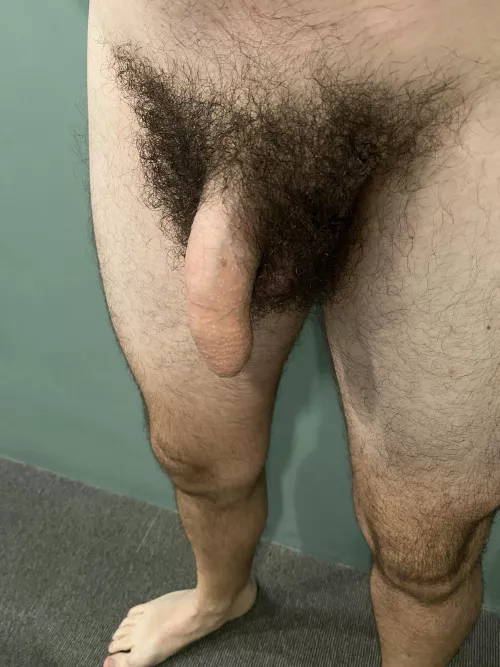 This is how it looks my soft penis with my untrimmed full bush.  Comments are really welcome 