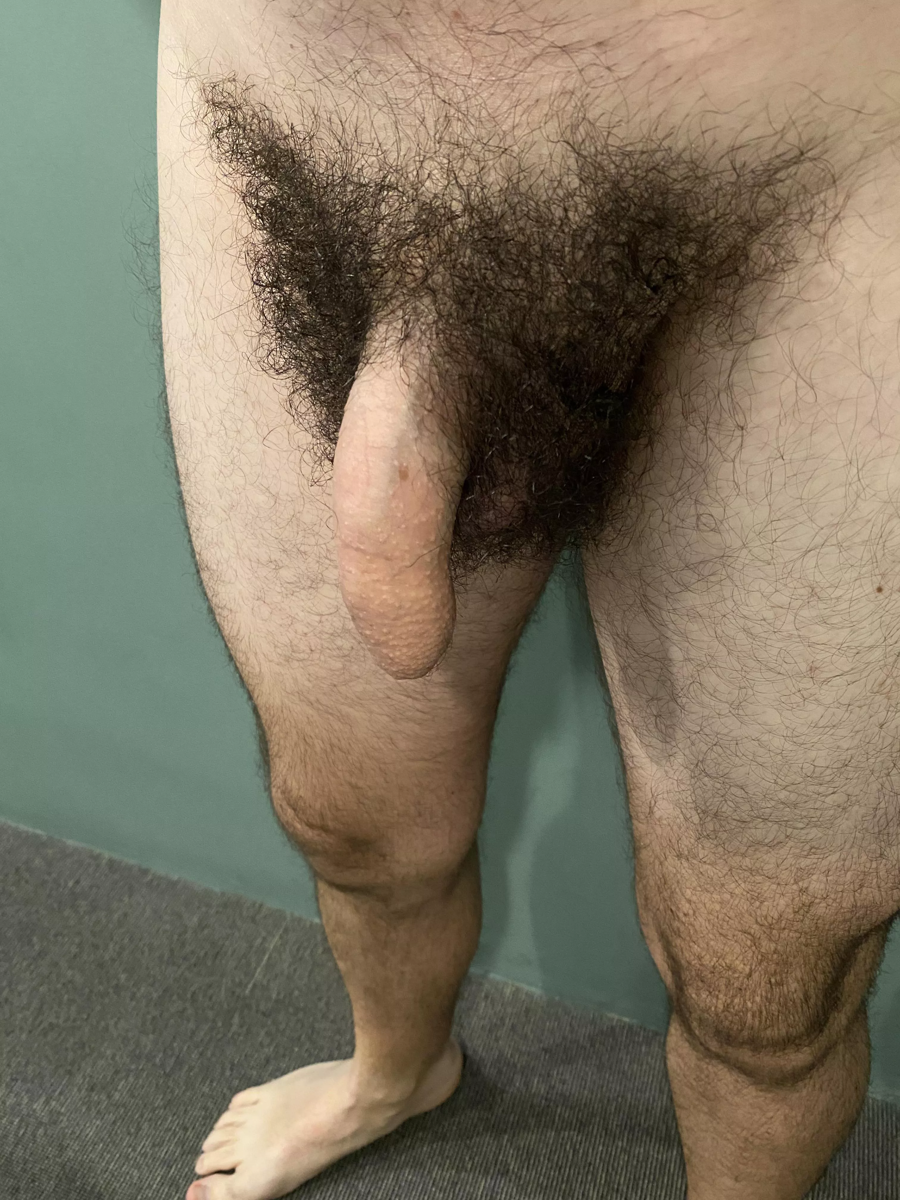 This is how it looks my soft penis with my untrimmed full bush.  Comments are really welcome 