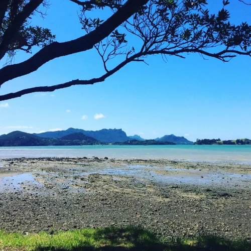 This view 😍 - New Zealand 