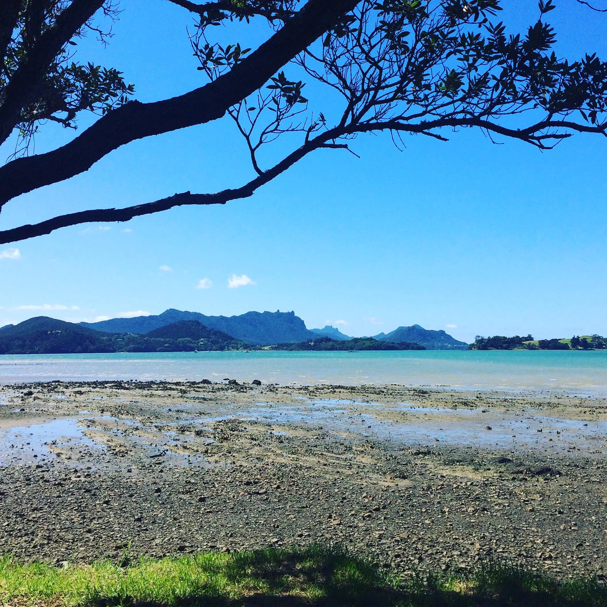 This view 😍 - New Zealand 