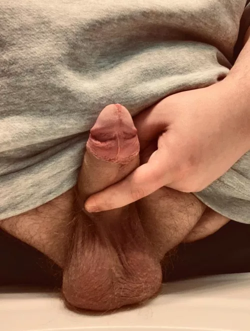 Would you admire this cock 😏