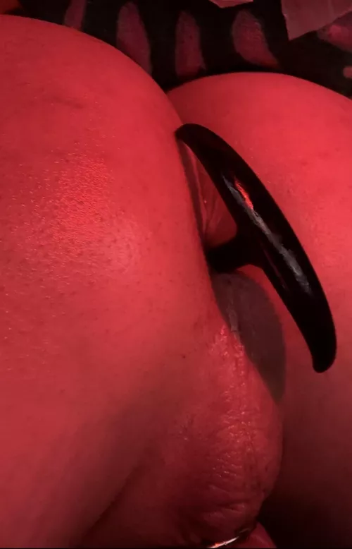 Be honest, do you want to pull the toy?