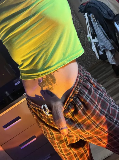 Big snake in his natural habitat 