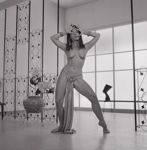 Diane Webber (1950s)