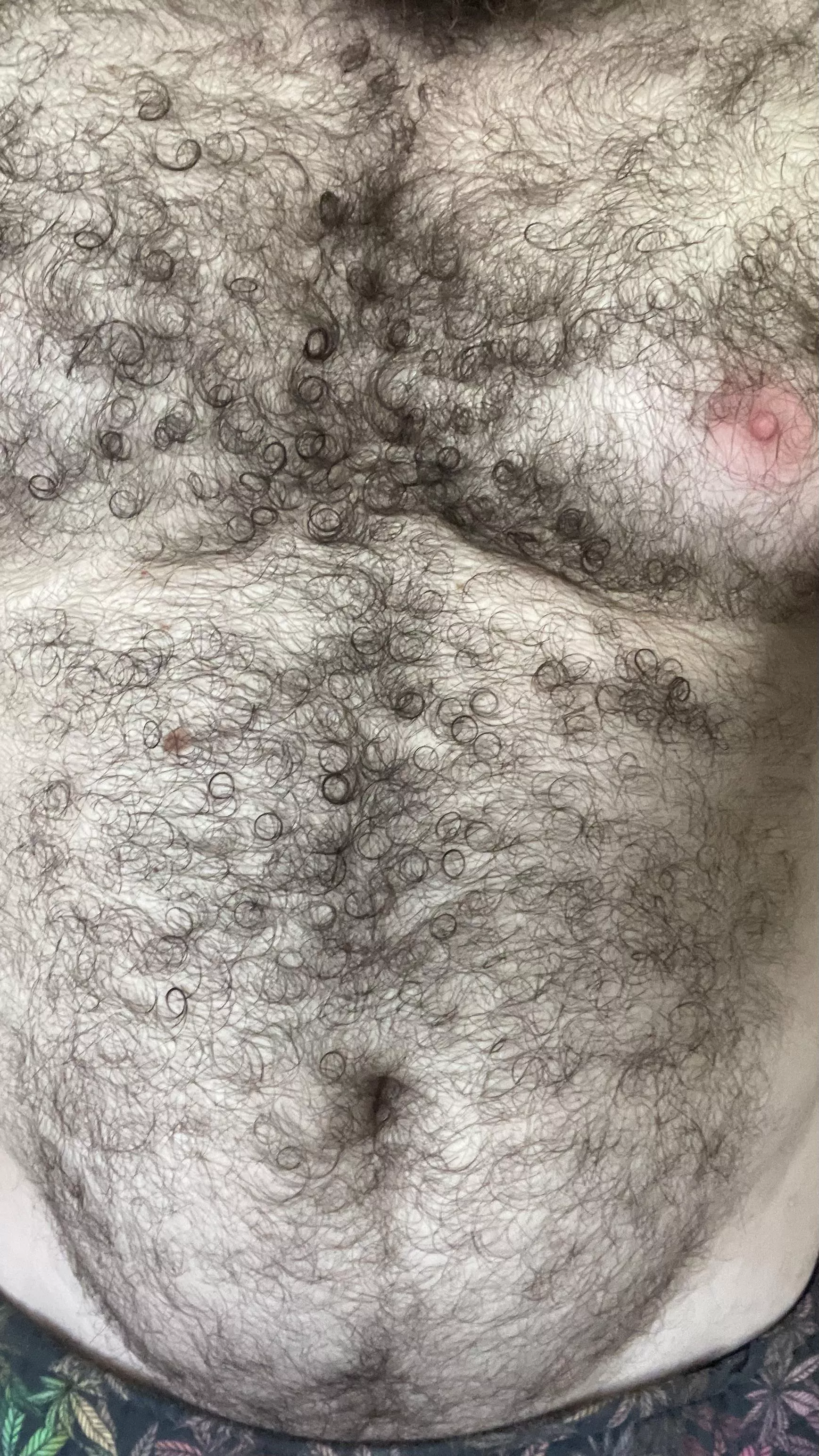 Hairy enough to be here?