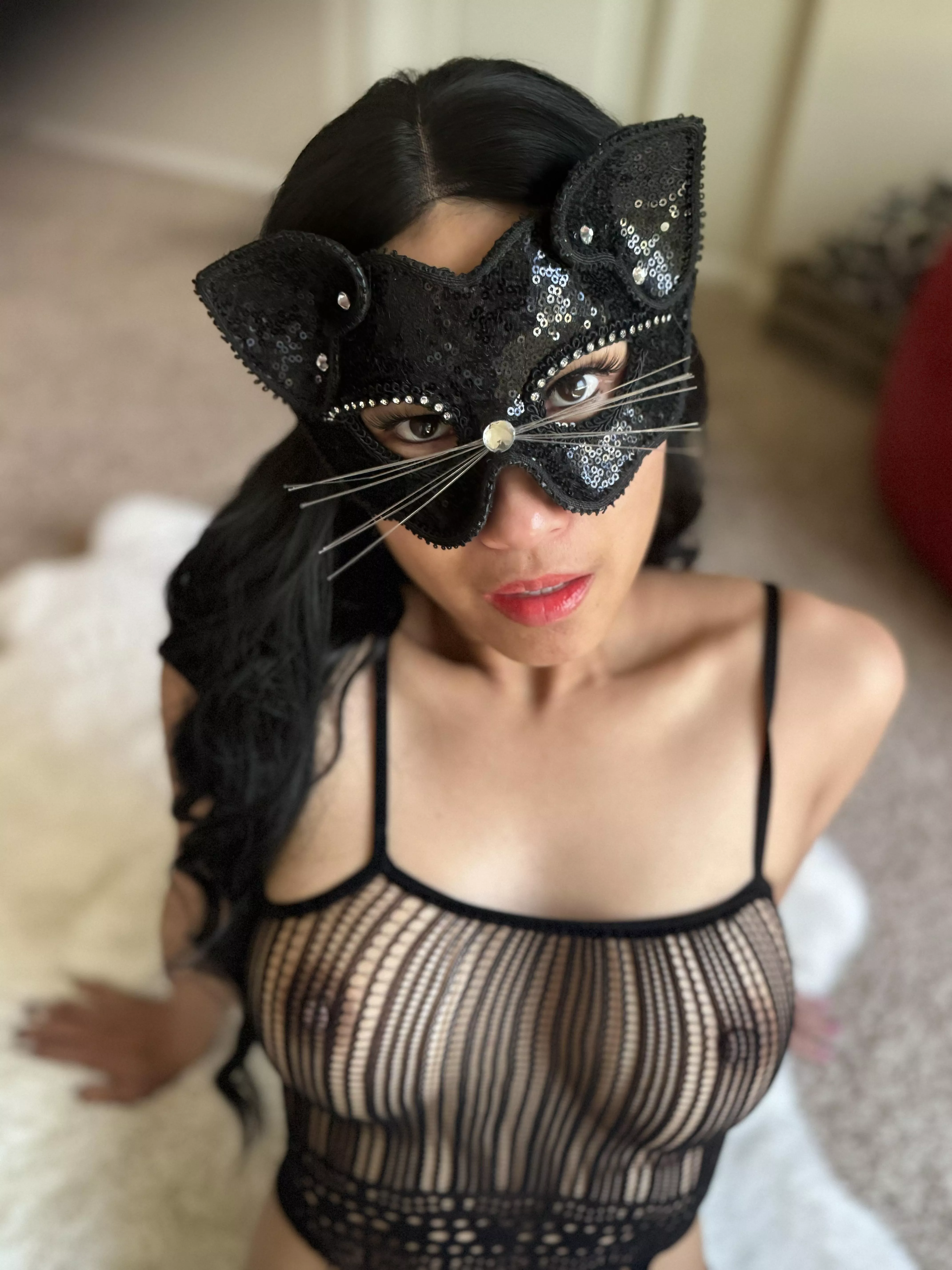 Hi, neighbor. Was wondering if you might have any cream?