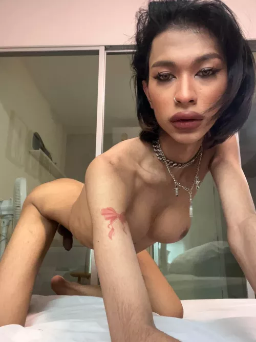 I am your roommate and ask you to fuck me, what do you reply? :P