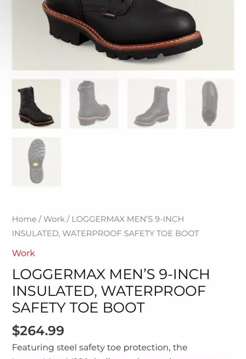 Is the redwing logger boot worth the price?